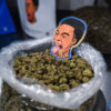 Buy Dutt Pack