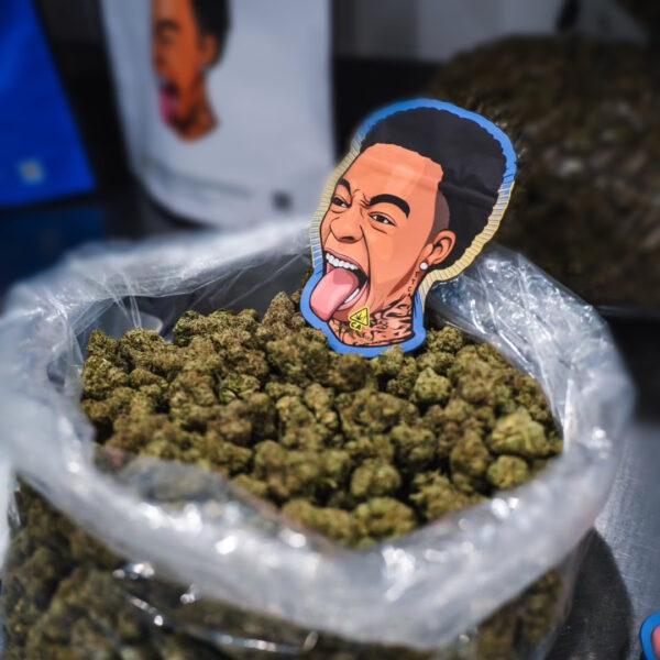 Buy Dutt Pack