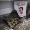 Flight weed strain, where is flights duttpack sold, where to buy duttpack, where to find flights duttpack, Dutt pack weed review, flight disposable vape